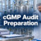 cgmp-audit-preparation